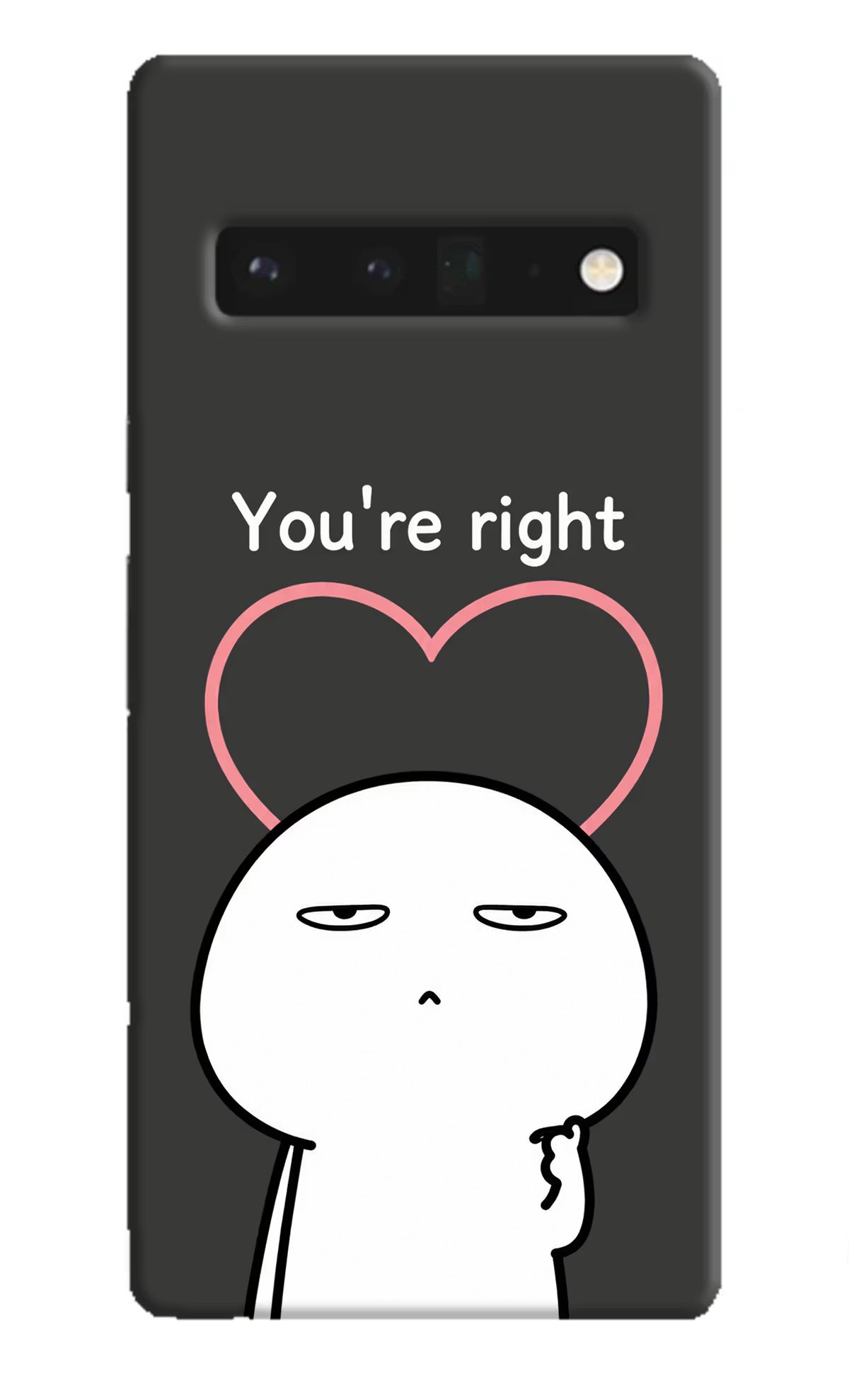 You're Right Google Pixel 6 Pro Back Cover