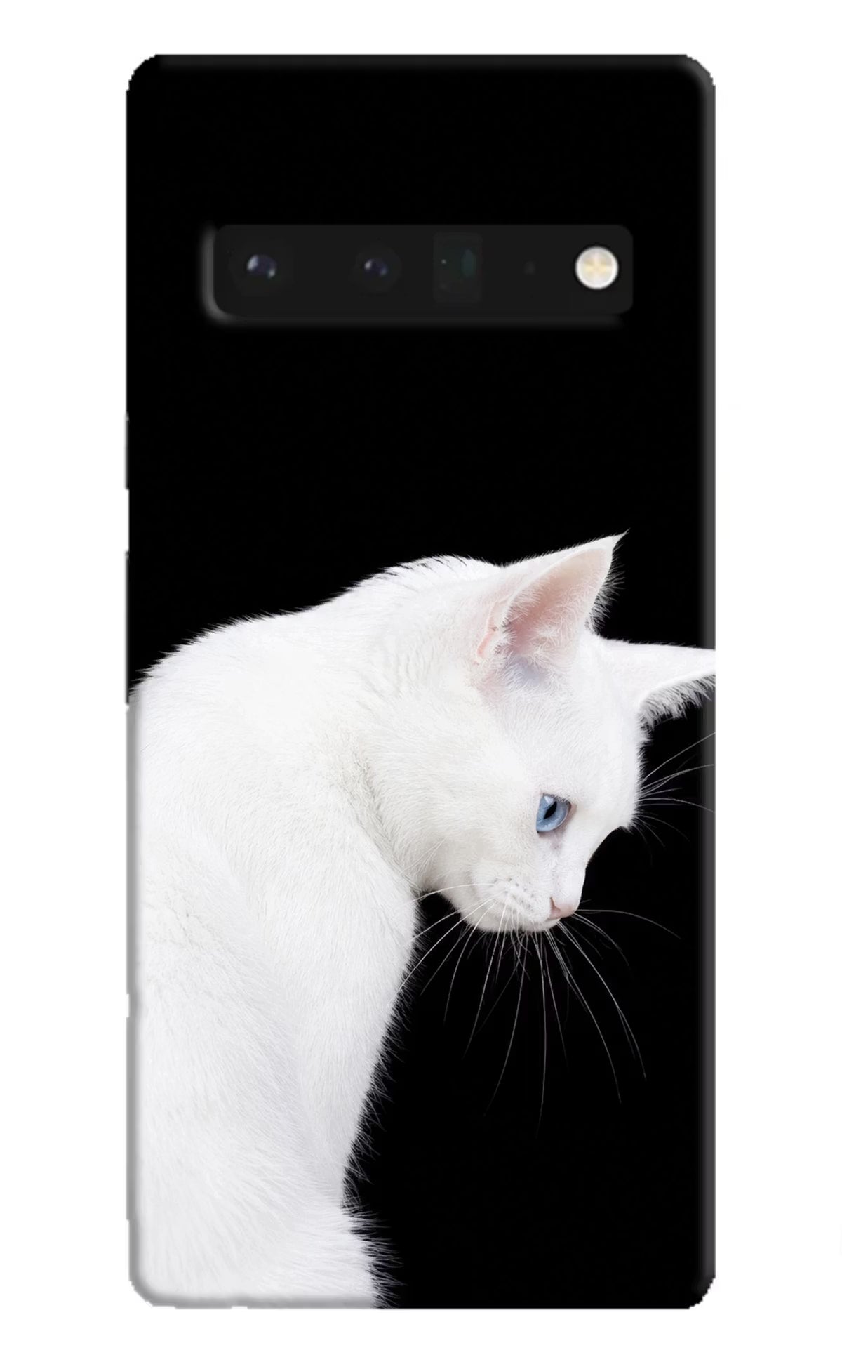 Snow Gaze Google Pixel 6 Pro Back Cover