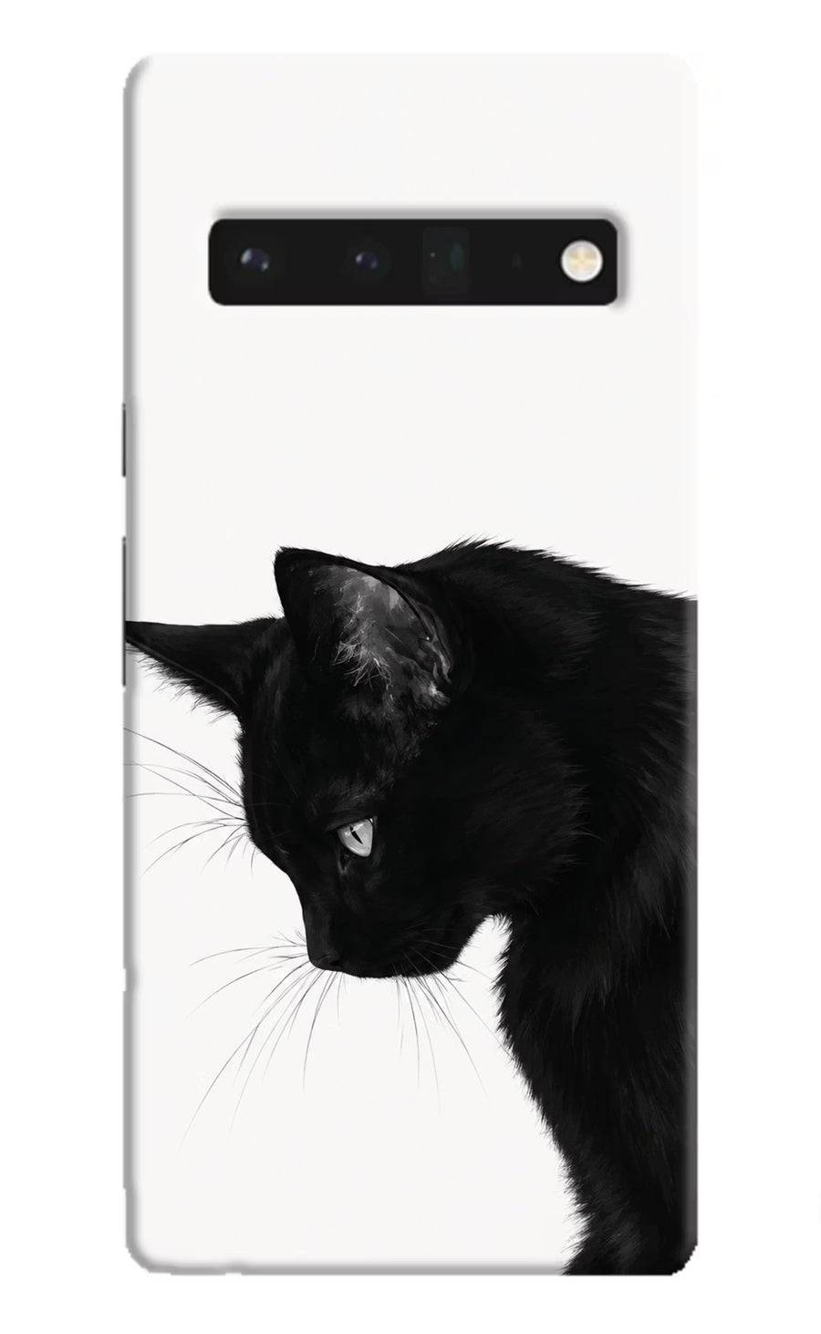 Shadow Gaze Google Pixel 6 Pro Back Cover, Hard case