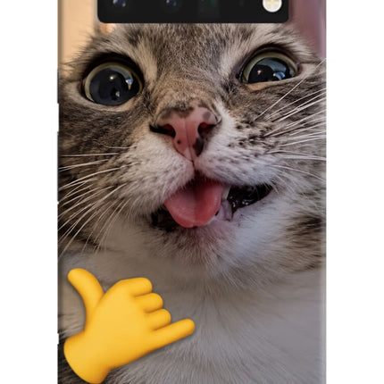 Silly Cat Call Google Pixel 6 Pro Hard Case Back Cover by Casekaro