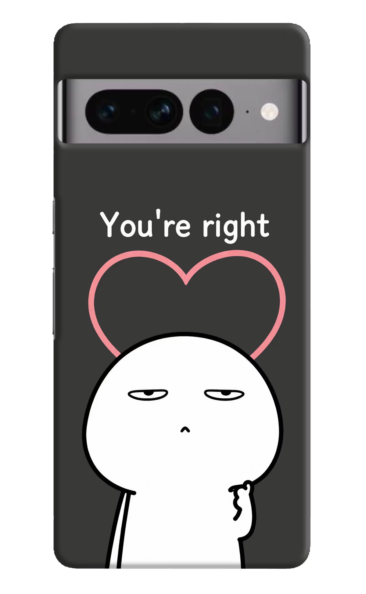 You're Right Google Pixel 7 Pro Back Cover