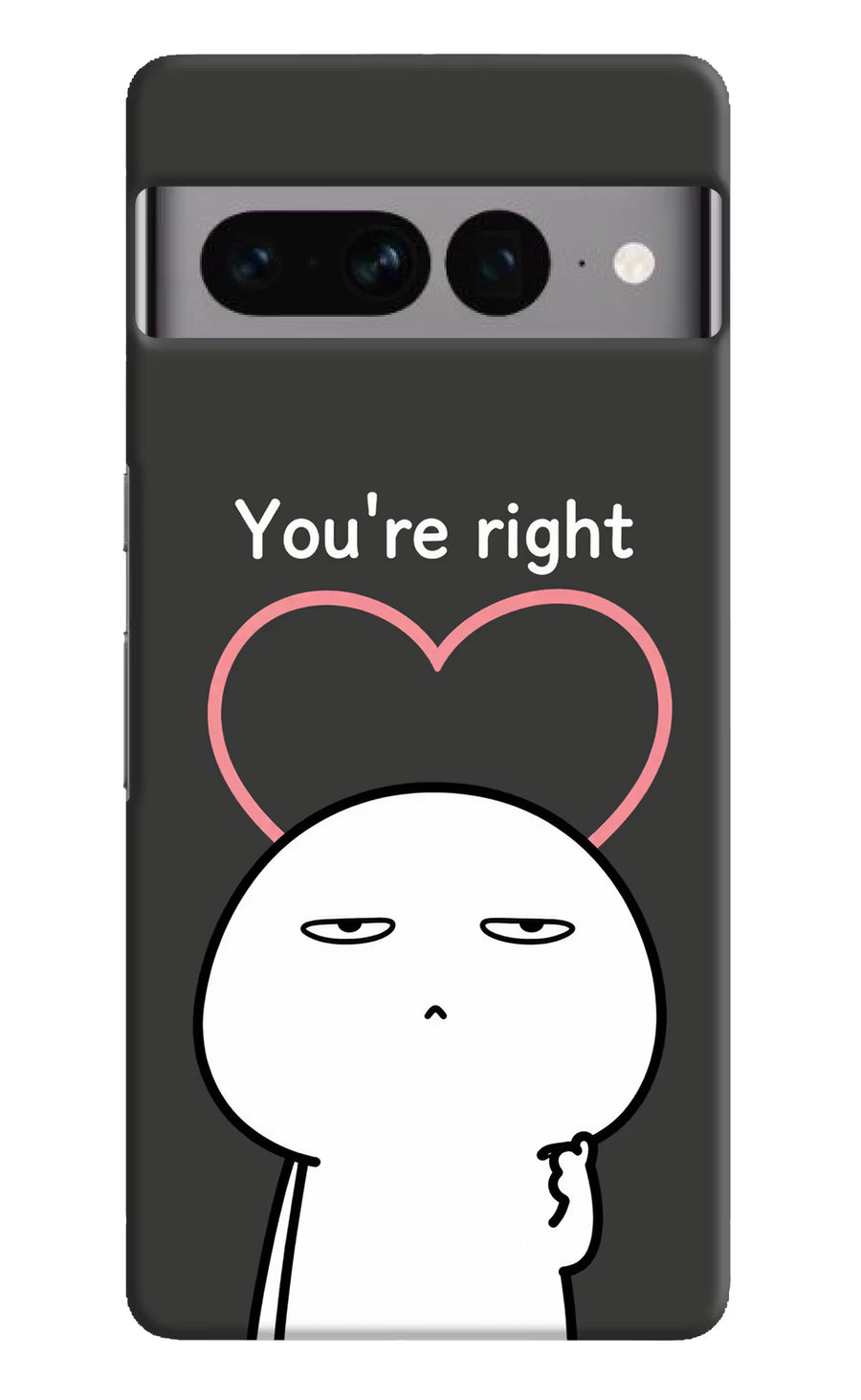 You're Right Google Pixel 7 Pro Back Cover, Hard case