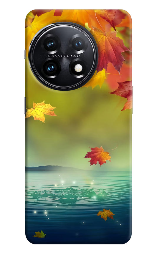 Flowers OnePlus 11 5G Hard Case Back Cover by Casekaro