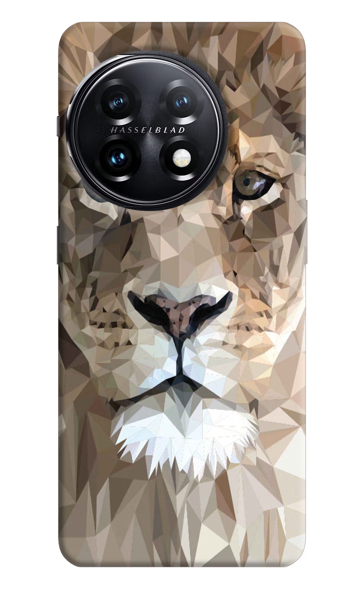 Lion Art OnePlus 11 5G Hard Case Back Cover by Casekaro