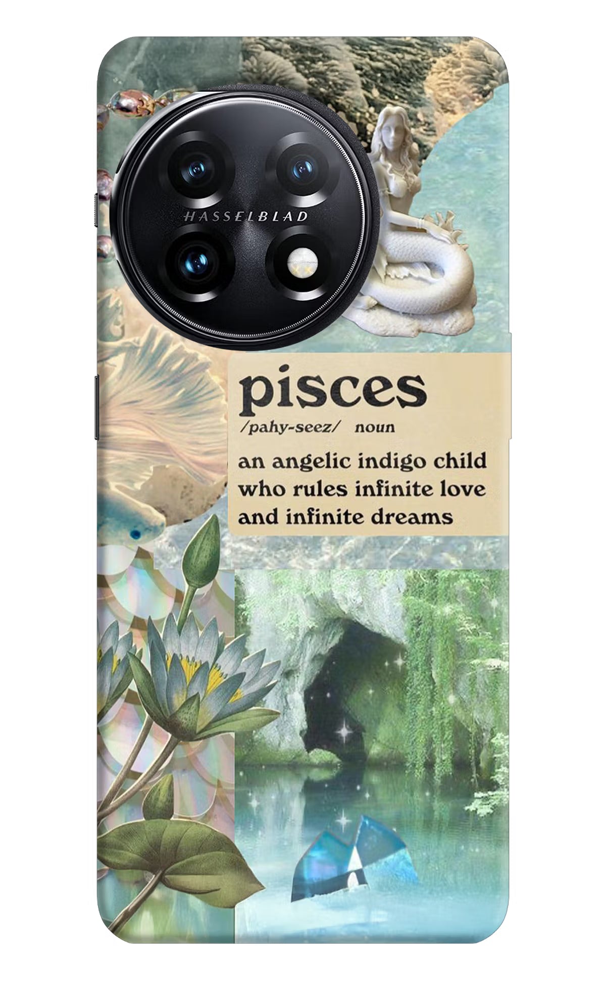 Pisces Zodiac OnePlus 11 5G Hard Case Back Cover by Casekaro