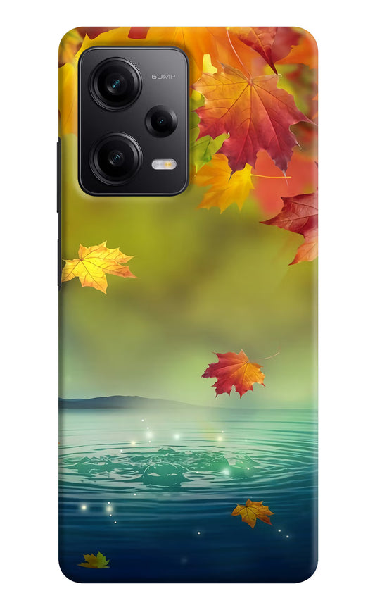 Flowers Redmi Note 12 Pro 5G Hard Case Back Cover by Casekaro