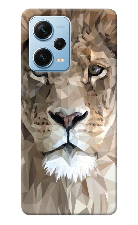 Lion Art Redmi Note 12 Pro+ 5G Back Cover