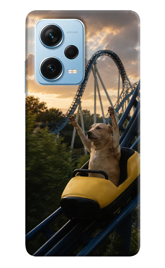 Rollercoaster Dog Redmi Note 12 Pro+ 5G Hard Case Back Cover by Casekaro