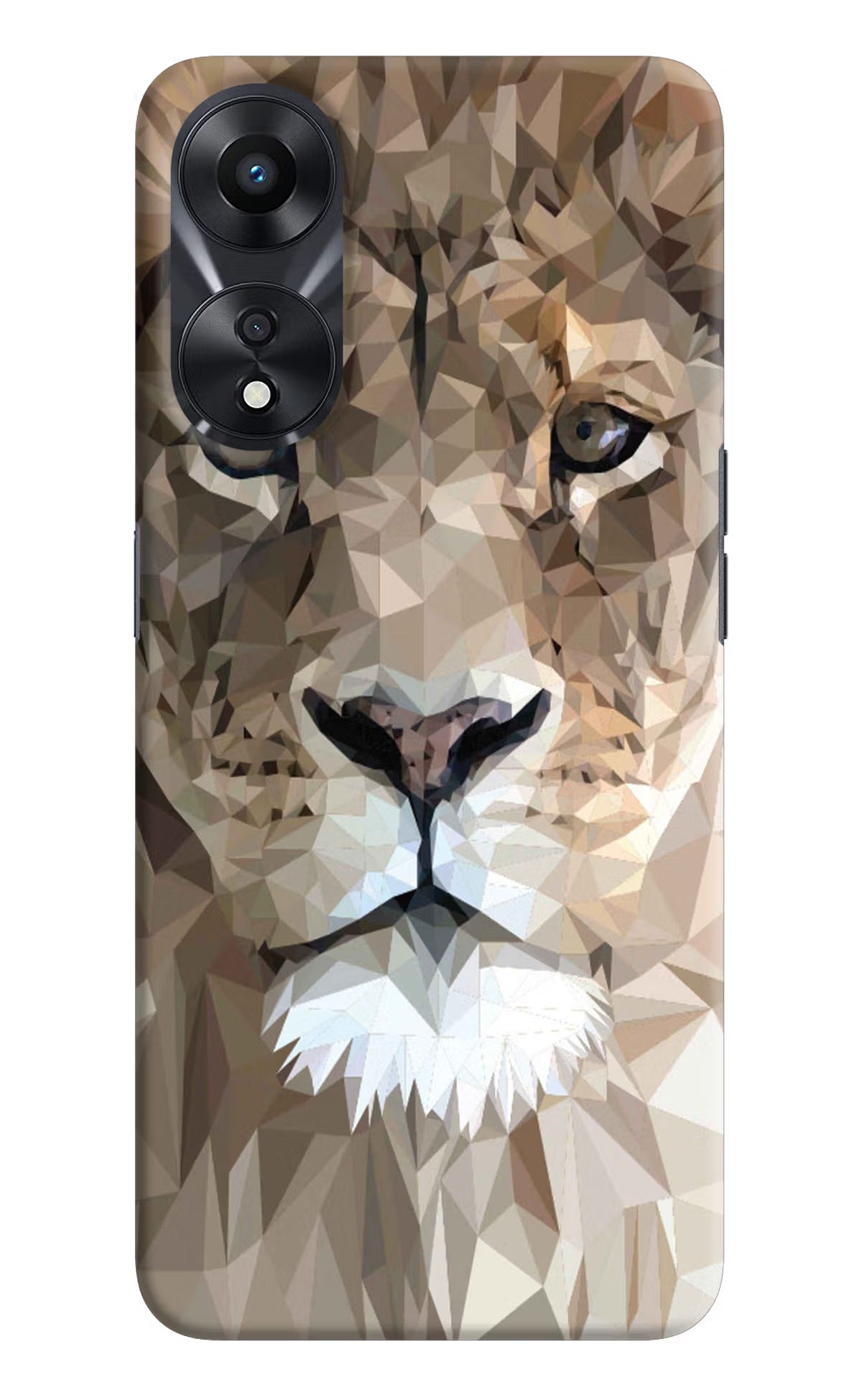 Lion Art Oppo A78 5G Hard Case Back Cover by Casekaro