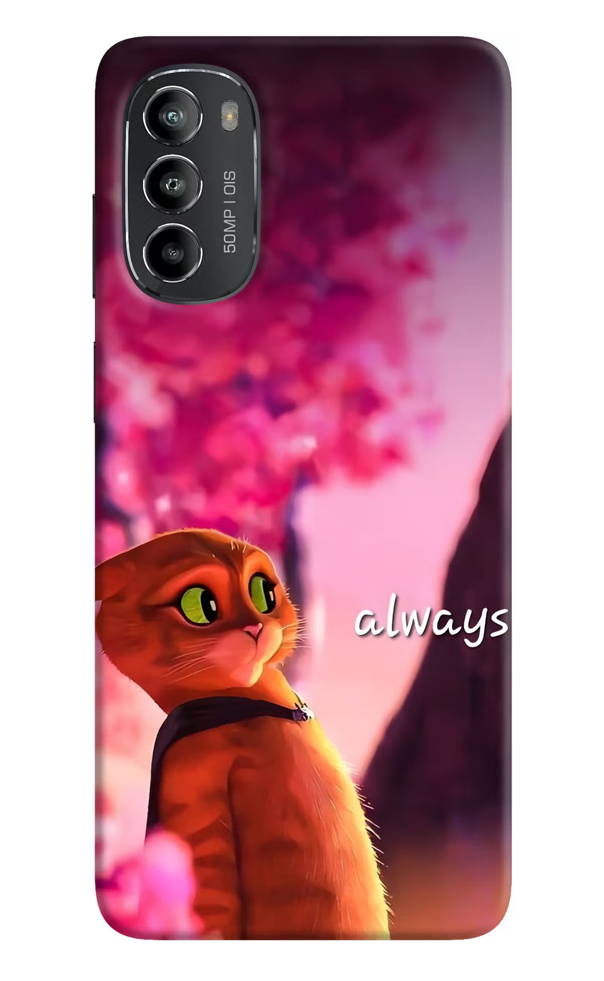 Always Cat Moto G82 5G Back Cover