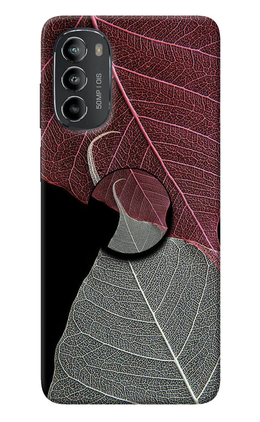 Leaf Pattern Moto G82 5G Pop Case