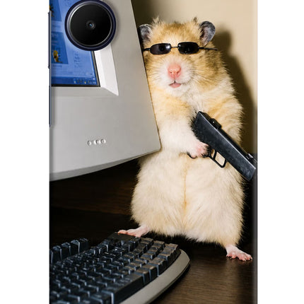 Hacker Hamster Realme 10 Hard Case Back Cover by Casekaro