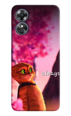 Always Cat Oppo A17 Hard Case Back Cover by Casekaro
