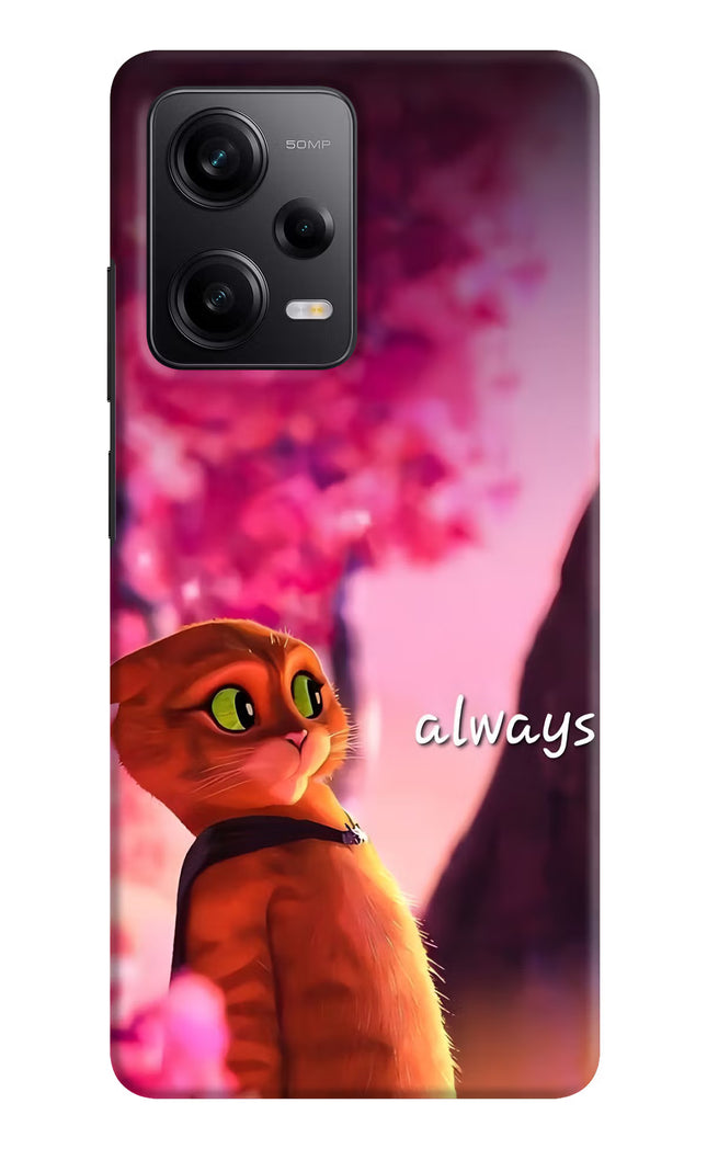 Always Cat Poco X5 5G Hard Case Back Cover by Casekaro