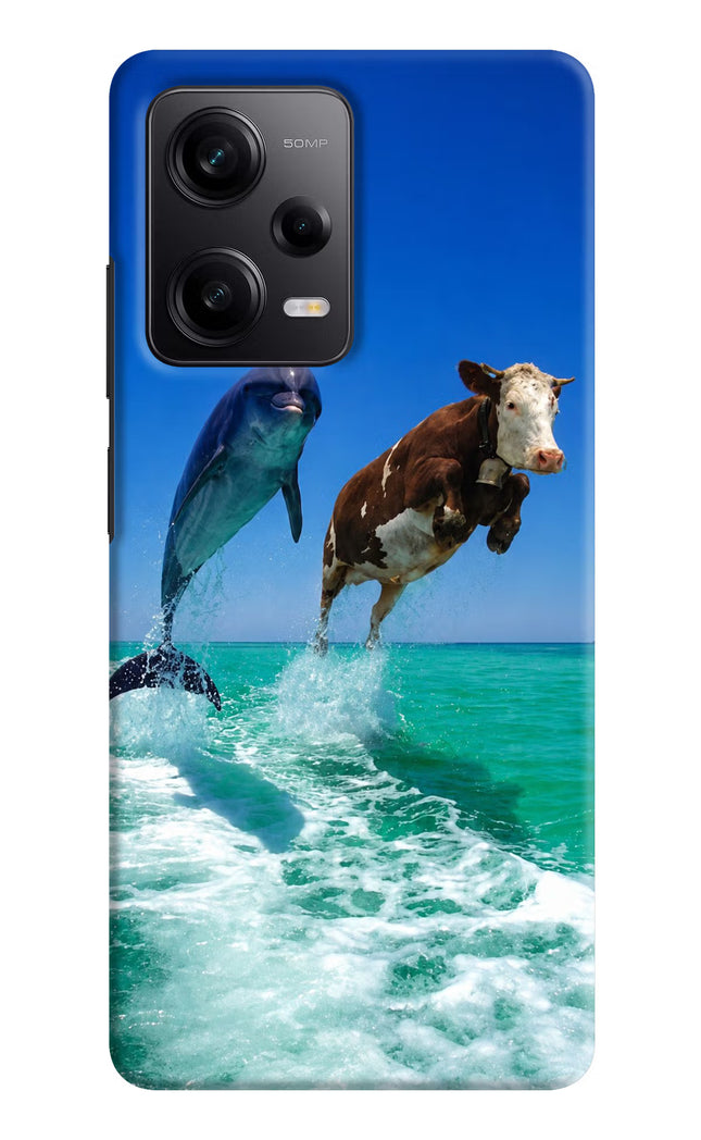 Dolphin vs Cow Poco X5 5G Hard Case Back Cover by Casekaro