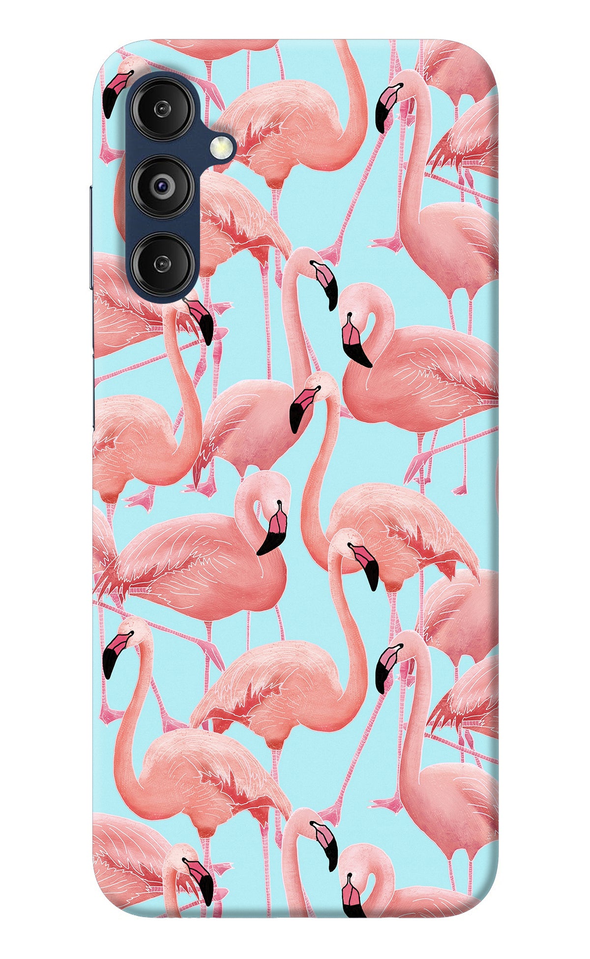 Flamboyance Samsung M14 Back Cover