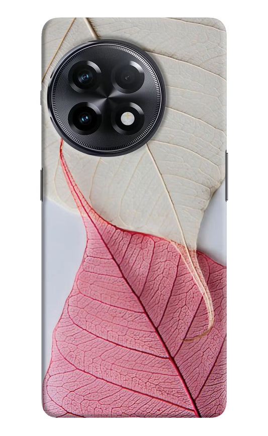 White Pink Leaf OnePlus 11R Hard Case Back Cover by Casekaro