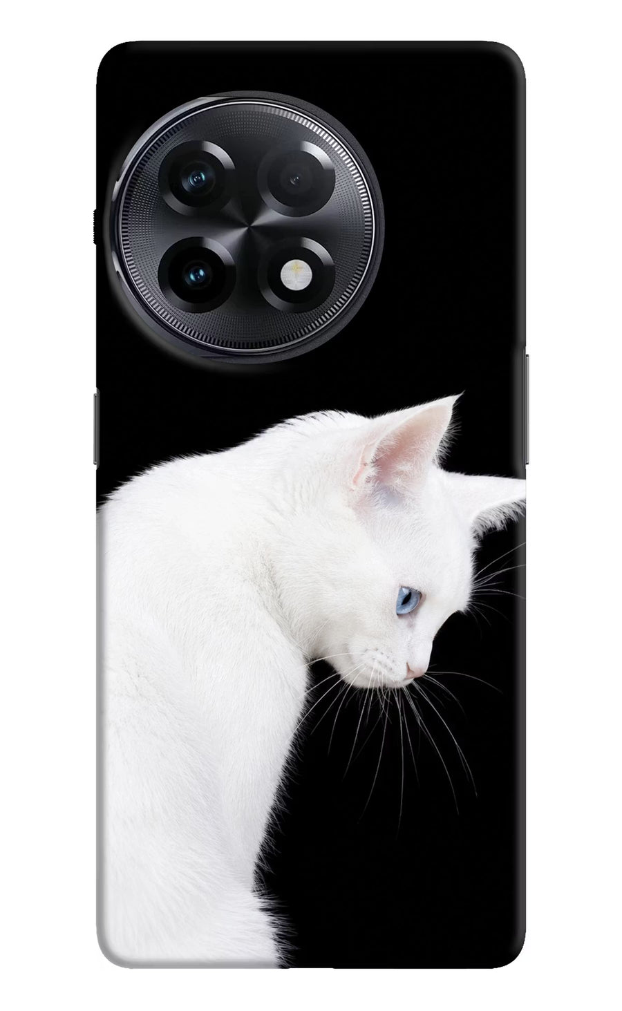 Snow Gaze OnePlus 11R Back Cover, Hard case