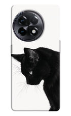 Shadow Gaze OnePlus 11R Hard Case Back Cover by Casekaro