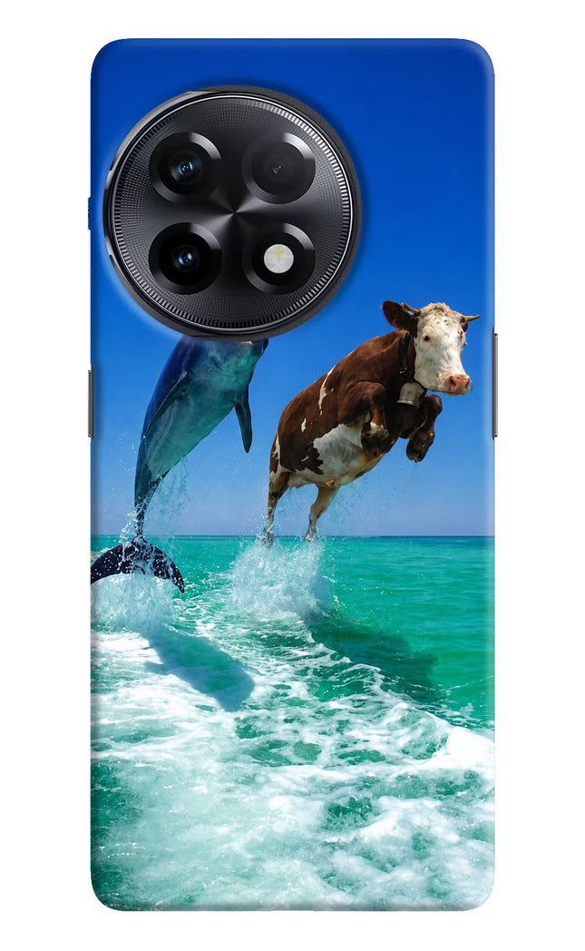 Dolphin vs Cow OnePlus 11R Hard Case Back Cover by Casekaro