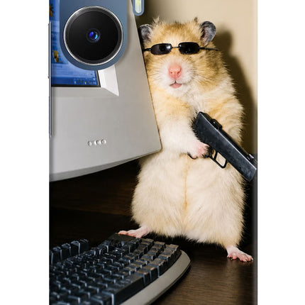 Hacker Hamster Realme C55/N55 Hard Case Back Cover by Casekaro