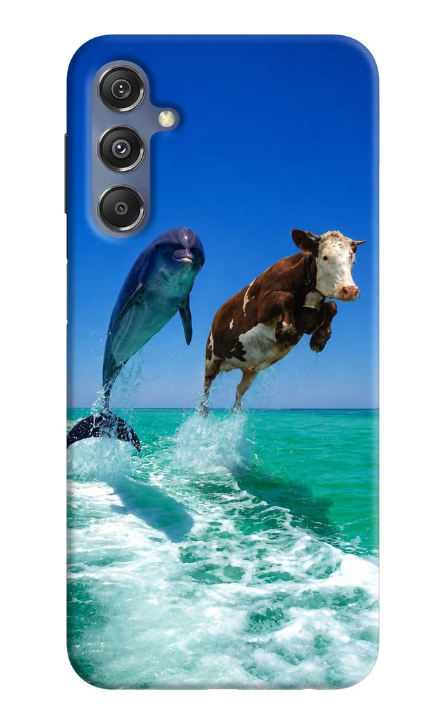 Dolphin vs Cow Samsung M34 5G/F34 5G Hard Case Back Cover by Casekaro