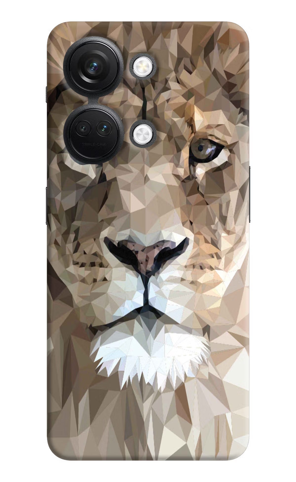 Lion Art OnePlus Nord 3 5G Hard Case Back Cover by Casekaro