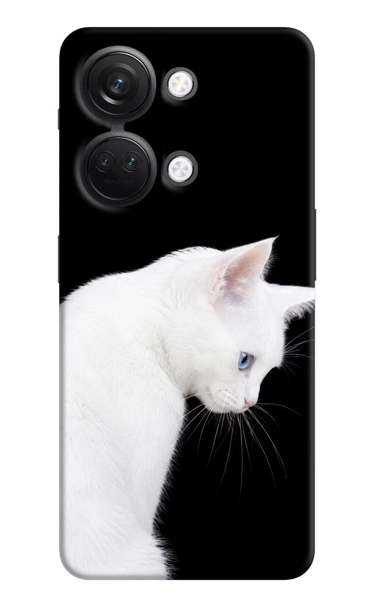 Snow Gaze OnePlus Nord 3 5G Back Cover