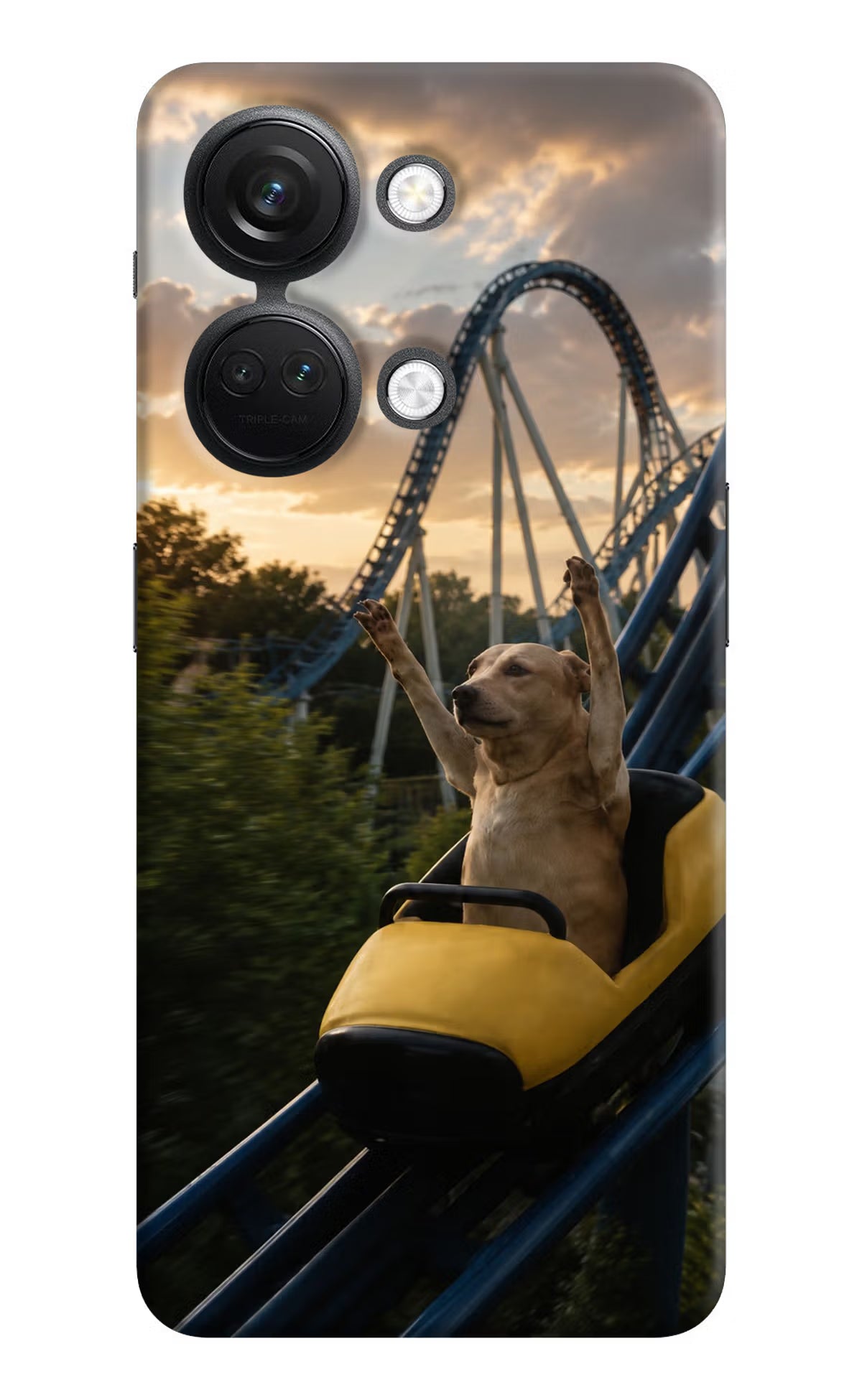 Rollercoaster Dog OnePlus Nord 3 5G Back Cover