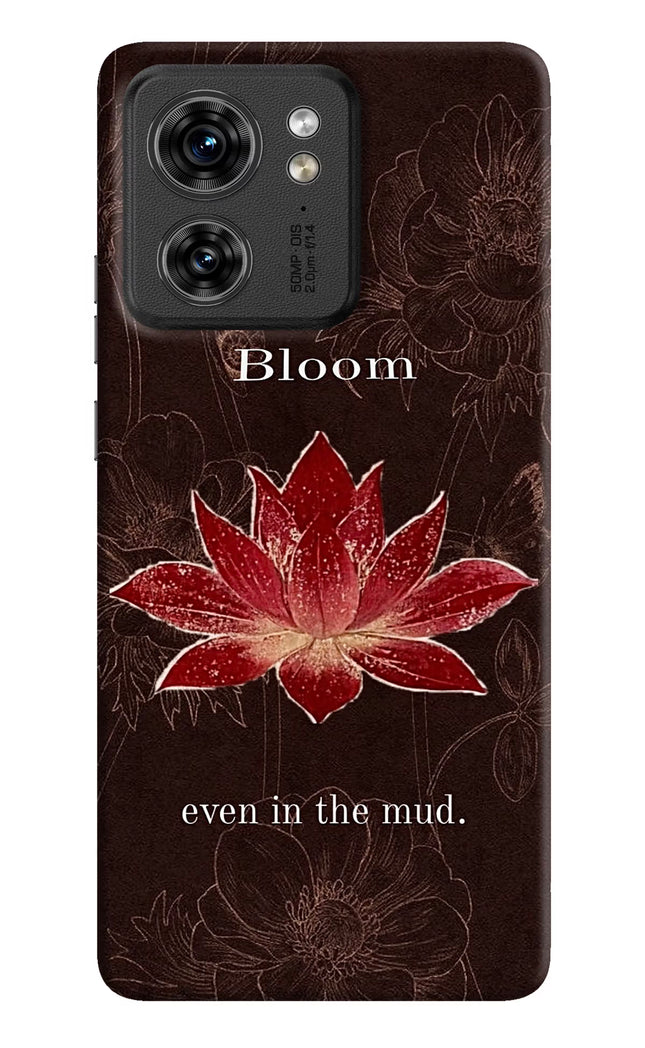 Bloom Moto Edge 40 Hard Case Back Cover by Casekaro