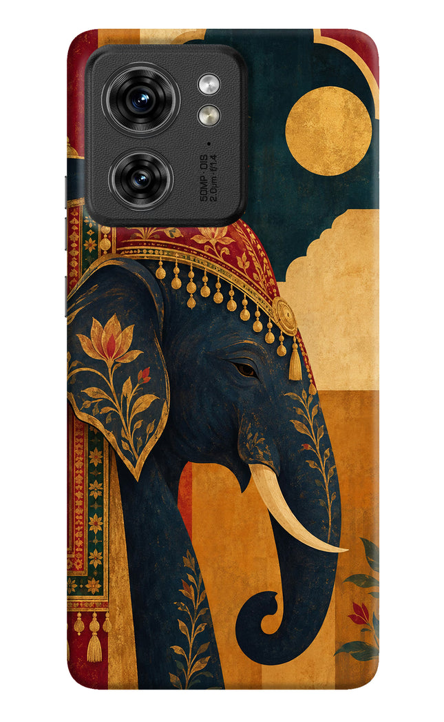 Royal Elephant Moto Edge 40 Back Cover