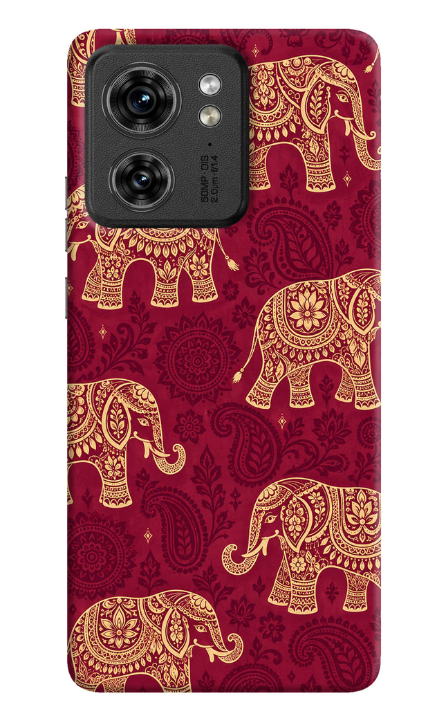 Maroon Elephant Moto Edge 40 Back Cover