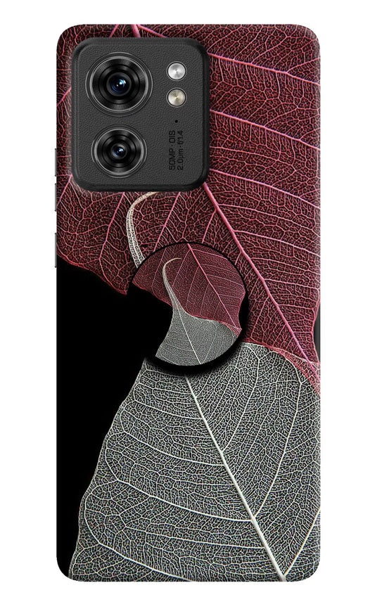 Leaf Pattern Moto Edge 40 Pop Case by Casekaro