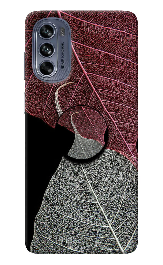 Leaf Pattern Moto G62 5G Pop Case