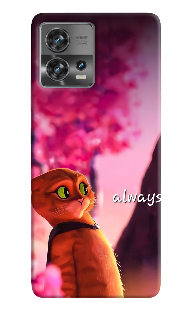Always Cat Moto Edge 30 Fusion Hard Case Back Cover by Casekaro