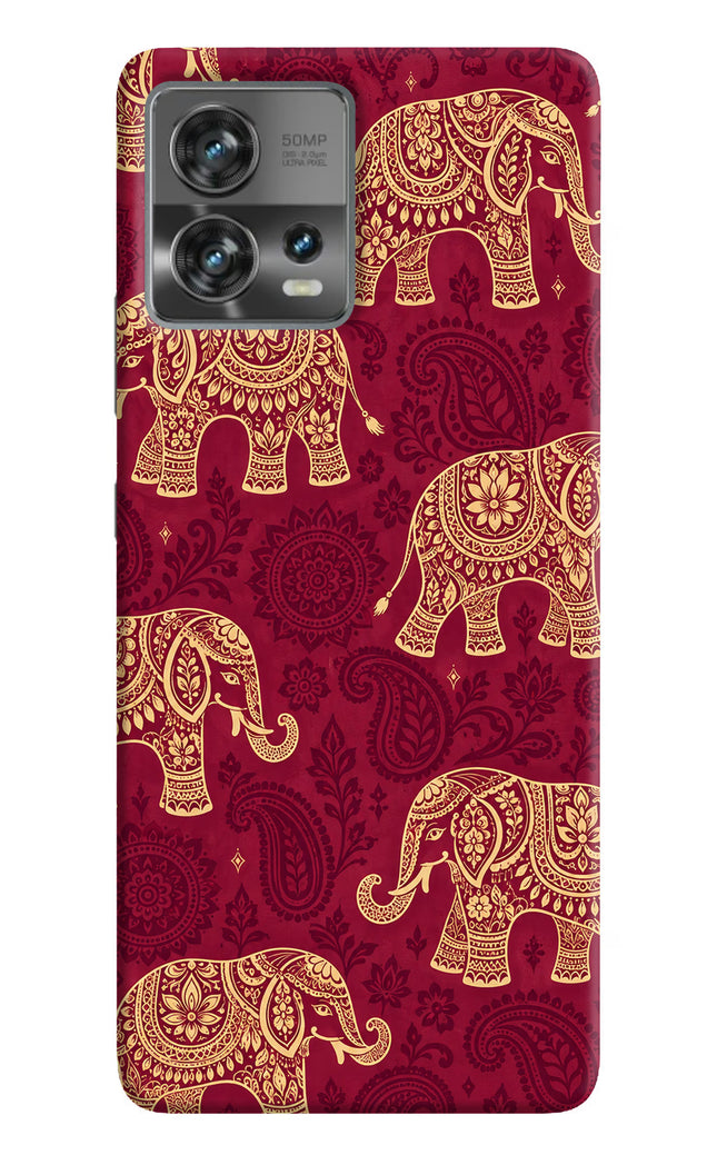 Maroon Elephant Moto Edge 30 Fusion Back Cover