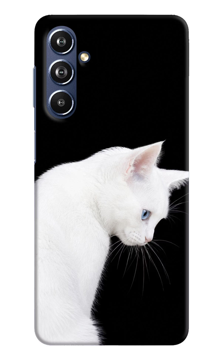 Snow Gaze Samsung F54 5G Back Cover, Hard case