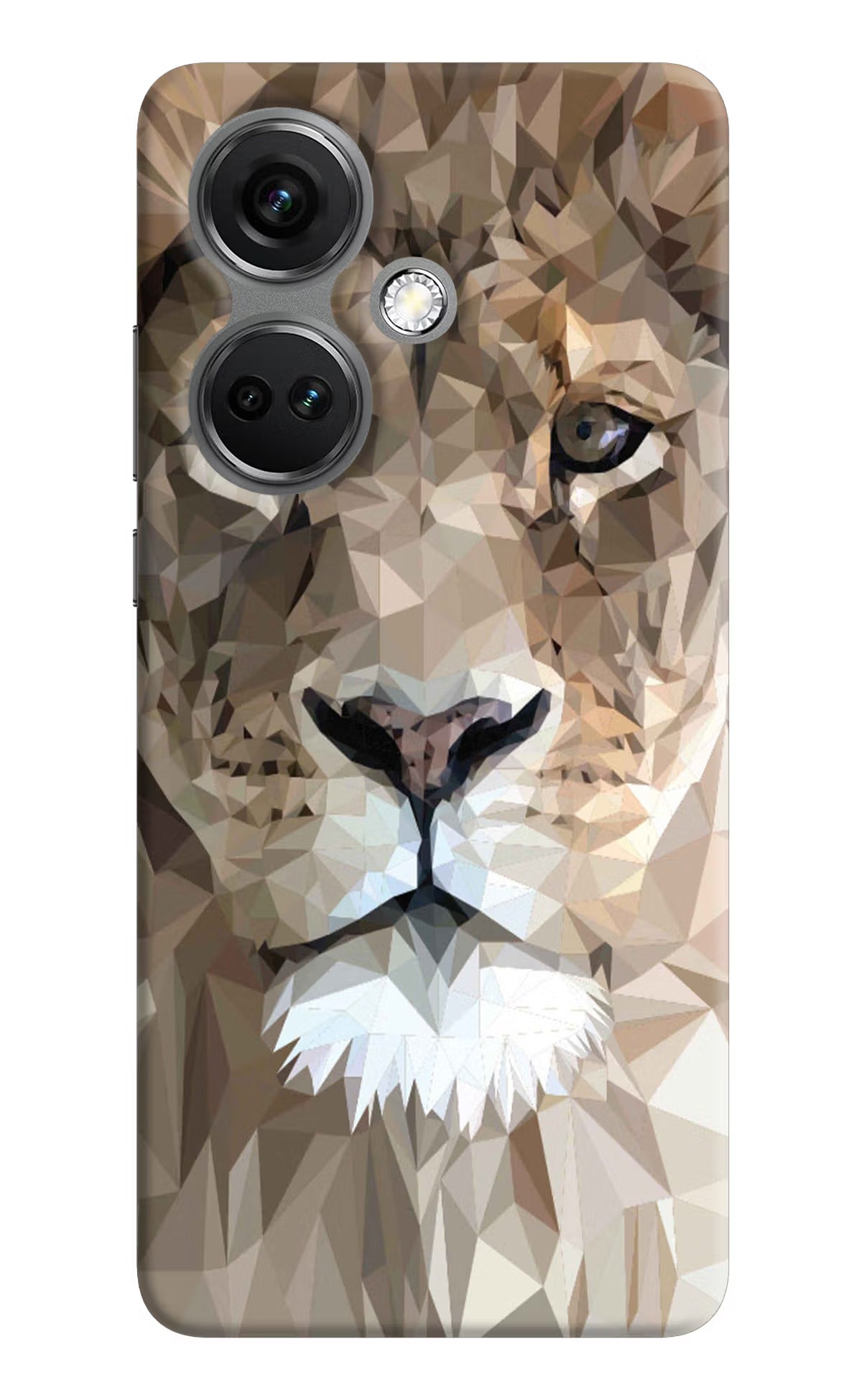 Lion Art OnePlus Nord CE 3 5G Hard Case Back Cover by Casekaro