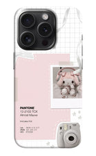 Pantone Asthetic iPhone 15 Pro Hard Case Back Cover by Casekaro