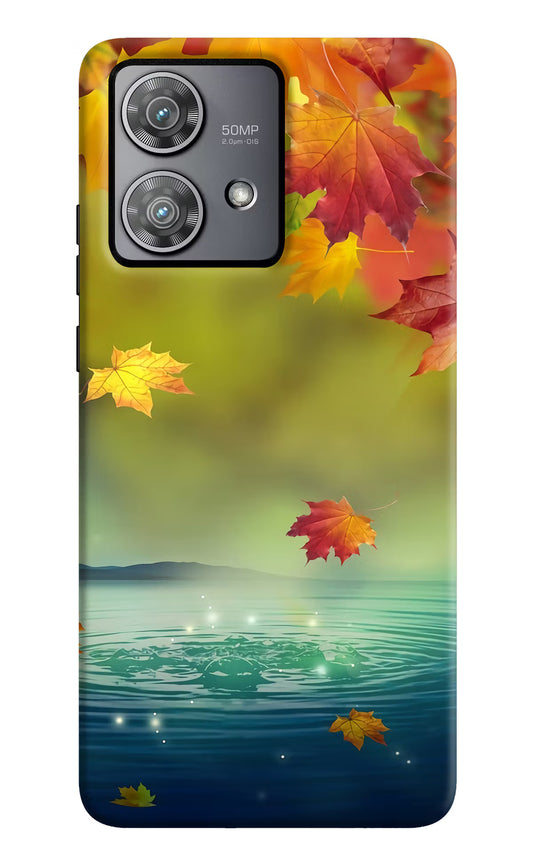 Flowers Moto Edge 40 Neo Hard Case Back Cover by Casekaro