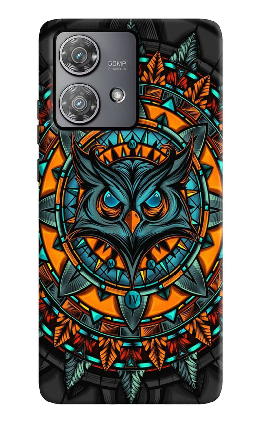 Angry Owl Art Moto Edge 40 Neo Hard Case Back Cover by Casekaro