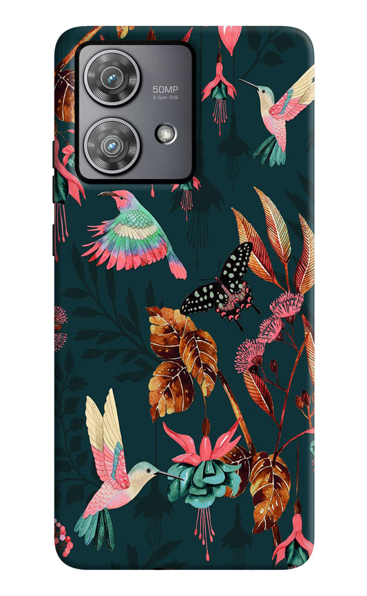 Birds Moto Edge 40 Neo Back Cover