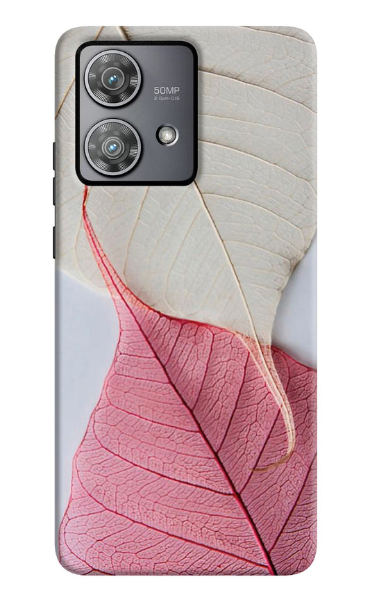 White Pink Leaf Moto Edge 40 Neo Back Cover