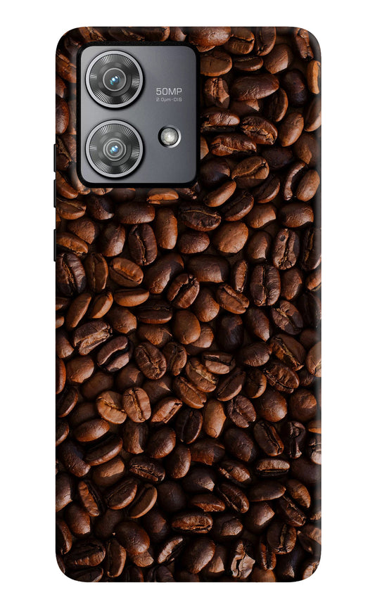 Coffee Beans Moto Edge 40 Neo Back Cover