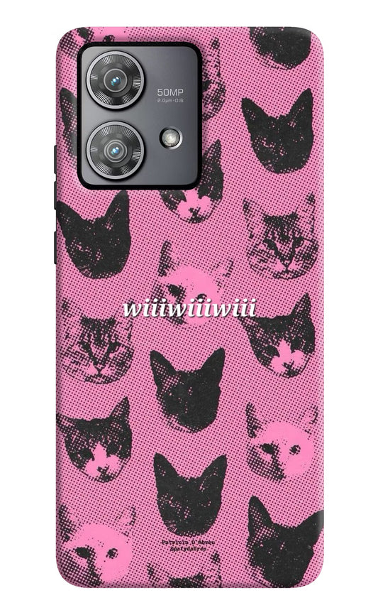 Pink Cats Moto Edge 40 Neo Hard Case Back Cover by Casekaro