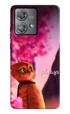Always Cat Moto Edge 40 Neo Hard Case Back Cover by Casekaro
