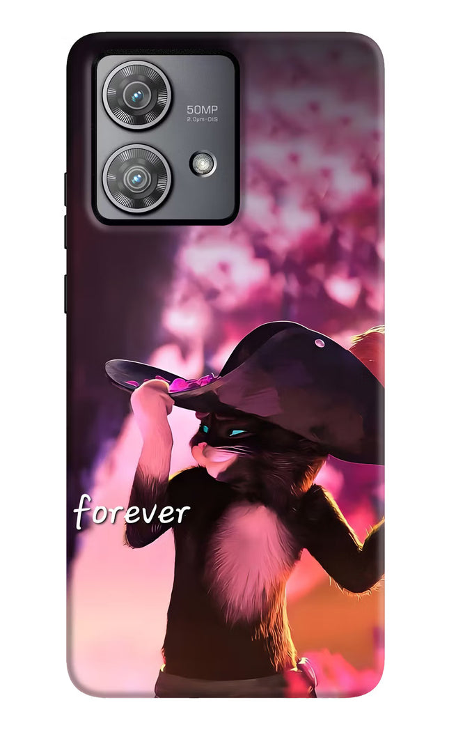 Forever Cat Moto Edge 40 Neo Hard Case Back Cover by Casekaro