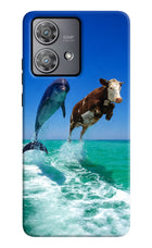 Dolphin vs Cow Moto Edge 40 Neo Hard Case Back Cover by Casekaro