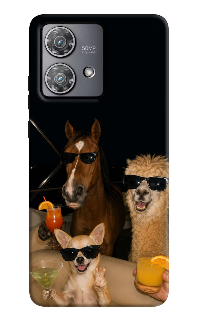 Party Squad Moto Edge 40 Neo Hard Case Back Cover by Casekaro