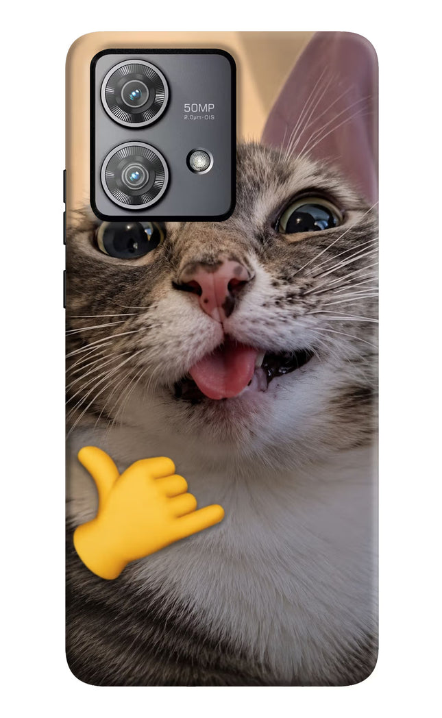 Silly Cat Call Moto Edge 40 Neo Hard Case Back Cover by Casekaro